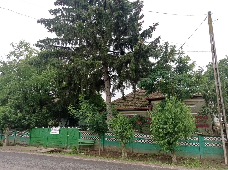Casa de vanzare in Amati.